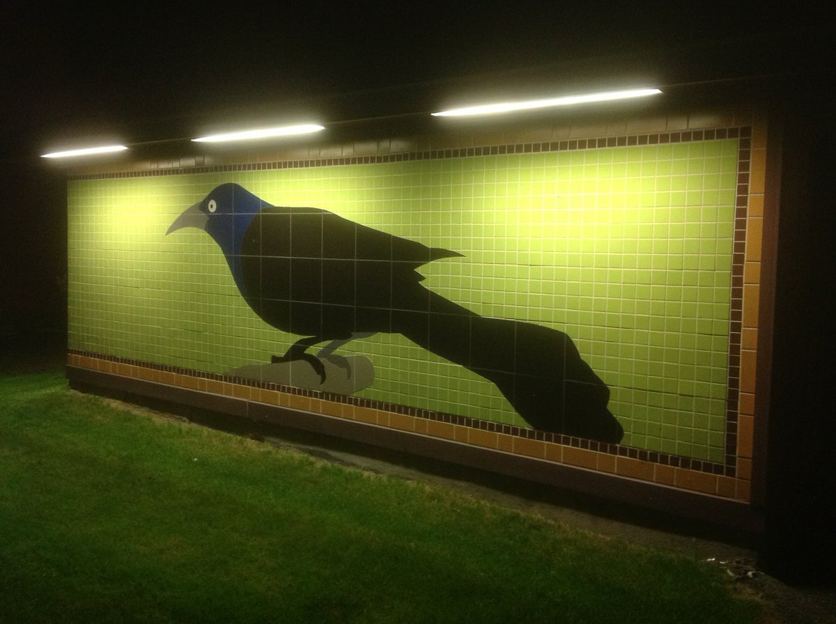 Grackle mural somewhere in Massachusetts.