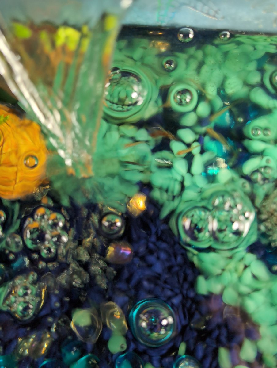 franca fazio (@faziofranca) on Twitter photo 