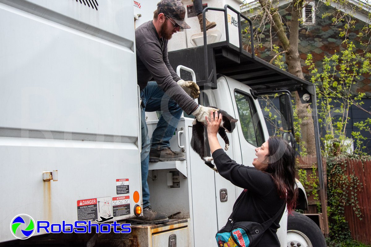 RobShots tweet media