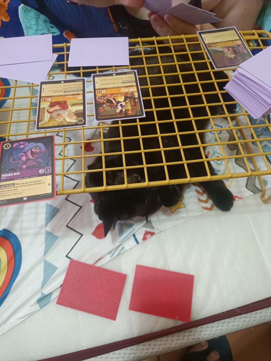 worvast's tweet photo. Supongo que durante un tiempo seguiré sin twittear tan a menudo, y que a nadie le importa en realidad, pero bueno.

Vendré a hablar de Bella (mi amor), de Draka (mi gato de soporte emocional) y de Lorcana y Star Wars Unlimited (mis hiperfocus actuales) de vez en cuando. https://t.co/kpj9U24XGd