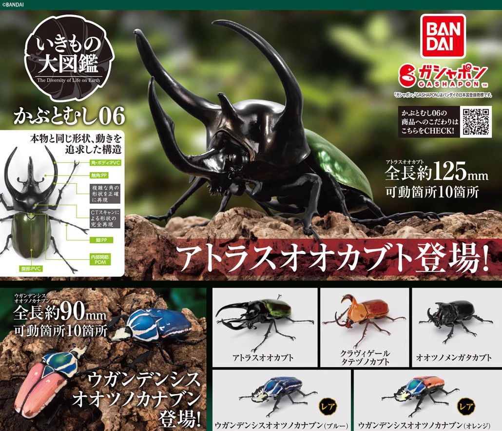 昆虫標本　ガボンオオカブト 公式】バンダイ ガシャポン on X: 