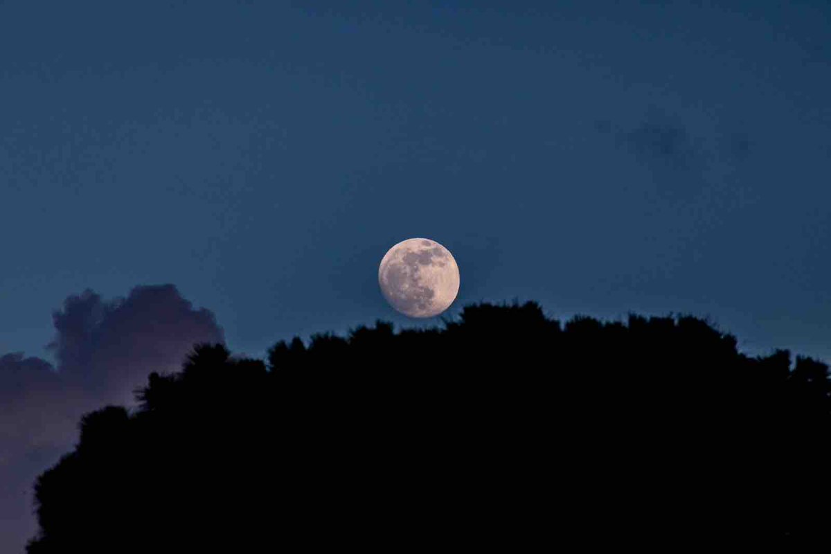 .@NASA: Después de hacernos un poco de sombra a principios de mes, la Luna vuelve a ser el centro de atención, con fase llena del 23 al 25 de abril. También se conoce como Luna Rosa o Luna de Pez. ¿Ya la viste? Comparte aquí tu mejor foto: