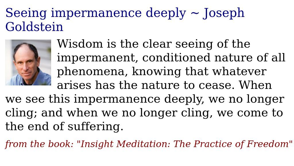 Seeing impermanence deeply ~ Joseph Goldstein
justdharma.org/seeing-imperma…