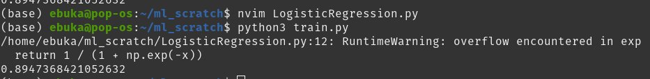 LogisticRegression from scratch using Neovim