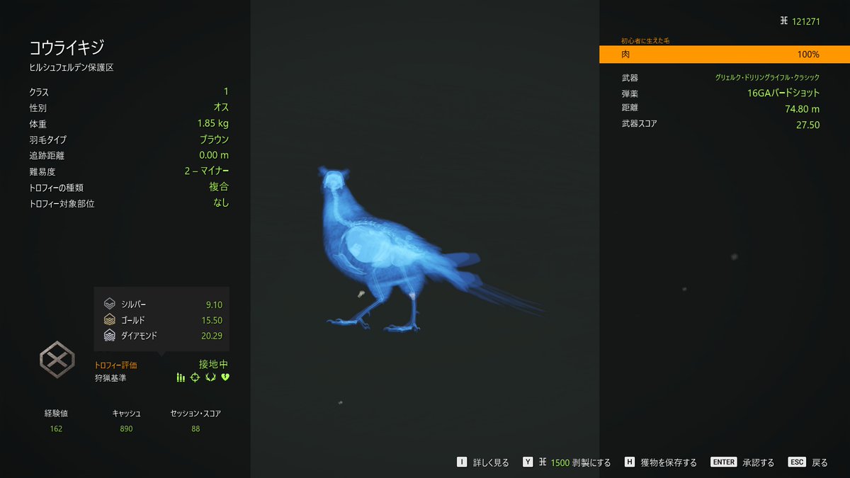 chu_chu_jp's tweet photo. #theHunterCalloftheWild 
#ザハンターコールオブザワイルド 
#COTW 
#ヒルシュフェルデン 
#Hirschfelden 
#ゲーム配信 
#ゲーム実況 
#コウライキジ 
#PhasianusColchicus 
#CommonPheasant 
「トロフィー評価：接地中」が飛行中を撃ち落とし評価対象へと初めて入る段階ならゴールドなんてムリゲー😇 https://t.co/0c8Ikb4Oj4