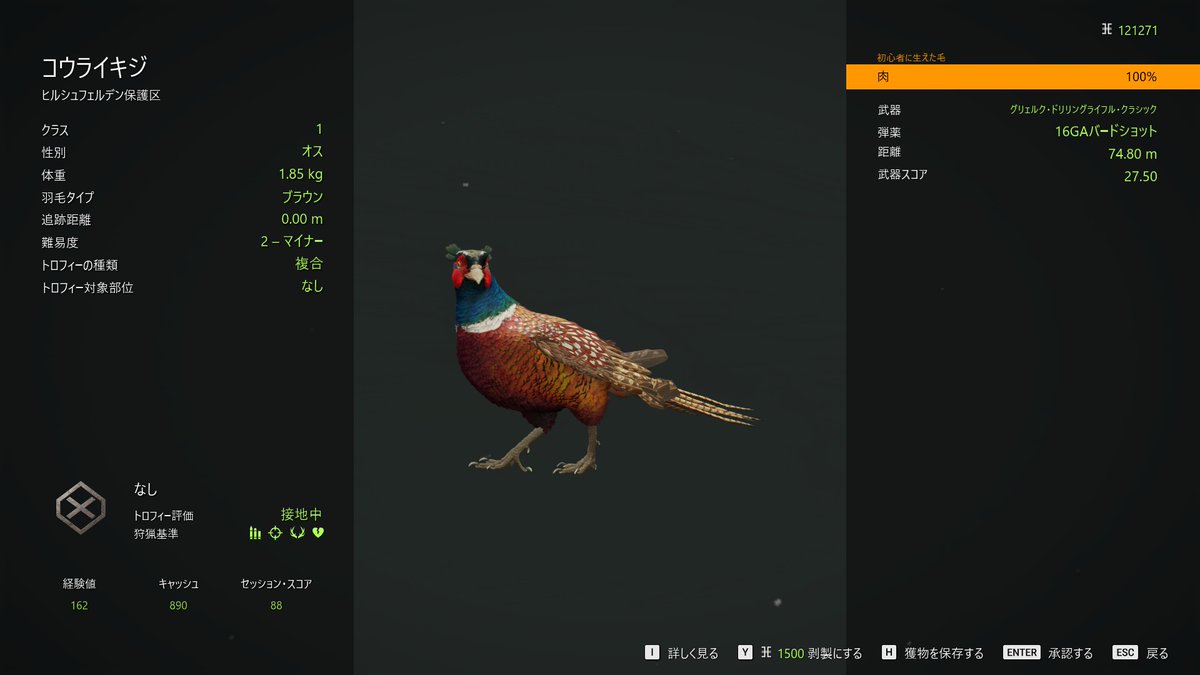 chu_chu_jp's tweet photo. #theHunterCalloftheWild 
#ザハンターコールオブザワイルド 
#COTW 
#ヒルシュフェルデン 
#Hirschfelden 
#ゲーム配信 
#ゲーム実況 
#コウライキジ 
#PhasianusColchicus 
#CommonPheasant 
「トロフィー評価：接地中」が飛行中を撃ち落とし評価対象へと初めて入る段階ならゴールドなんてムリゲー😇 https://t.co/0c8Ikb4Oj4