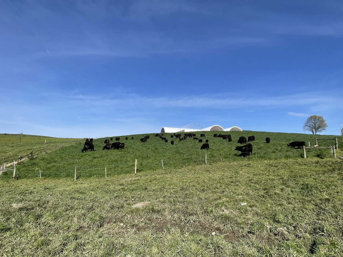 SB Nemo Farm tweet media