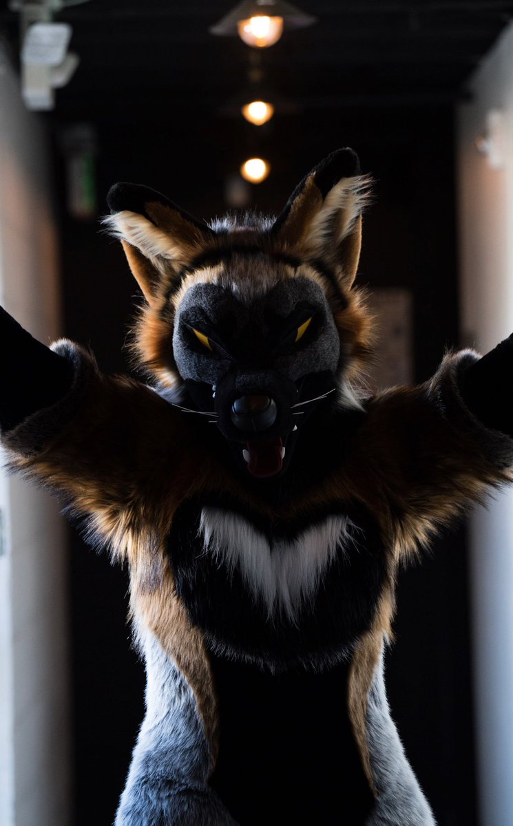 FoxtrotFursuits's tweet photo. Trouble has a new, but familiar face 😈

📸: @KooperShiba https://t.co/ZPDFwfSUZM