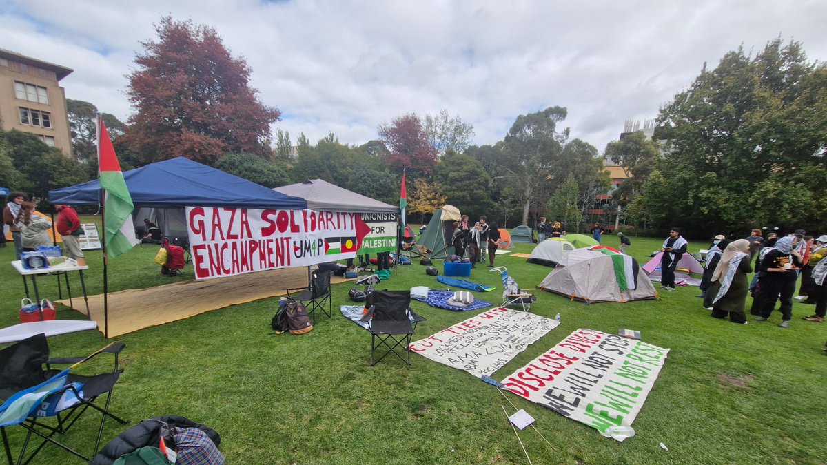 Chris Woods 🏳️‍⚧️🇵🇸 tweet media