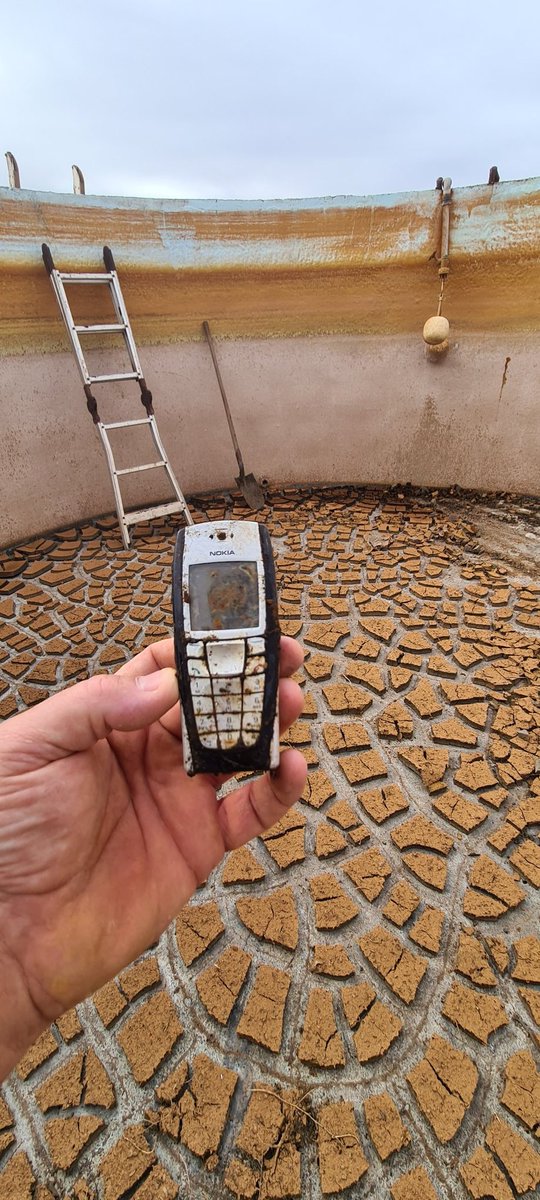 Ben McTaggart tweet media