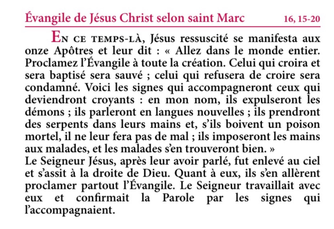 'Le Seigneur travaillait avec eux' Mc 16 ☀️

#EvangileduJour ☀️ #SaintMarc ☀️