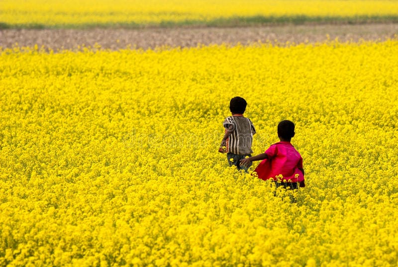 ~𝑰𝒏 𝒕𝒉𝒆 𝒈𝒂𝒓𝒅𝒆𝒏 𝒐𝒇 𝒍𝒊𝒇𝒆, 𝒇𝒓𝒊𝒆𝒏𝒅𝒔 𝒂𝒓𝒆 𝒕𝒉𝒆 𝒃𝒓𝒊𝒈𝒉𝒕𝒆𝒔𝒕 𝒃𝒍𝒐𝒔𝒔𝒐𝒎𝒔~

#Kashmir #thursdayvibes #Flowers #spring #nature #photooftheday #earthquake #DhruvRathee #JammuAndKashmir #MOONLIGHT #الديوان_الملكي