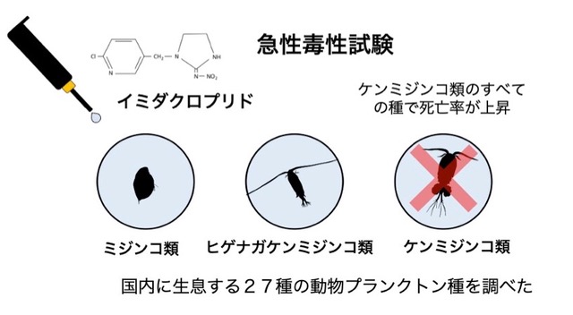 【プレスリリース】ネオニコチノイド系殺虫剤はケンミジンコ類に強い毒性　多様なプランクトン種を対象とした実験により判明
#動物プランクトン #ケンミジンコ #ネオニコチノイド系殺虫剤 
lifesci.tohoku.ac.jp/date/detail---…