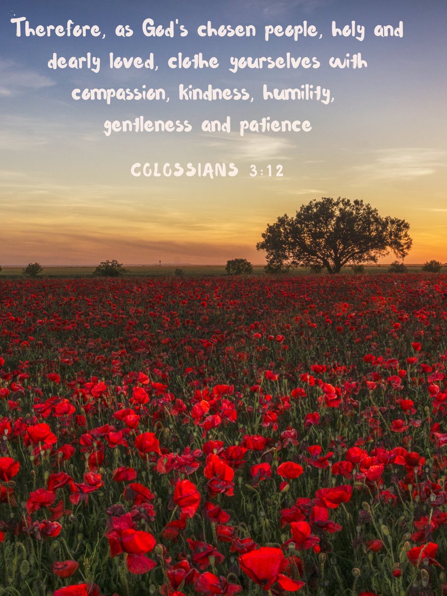 Therefore, as God's chosen people, Holy and Dearly Loved, Clothe yourselves with Compassion, Kindness, Humility, Gentleness and Patience. Colossians 3:12