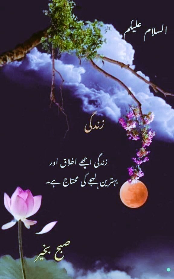 SafeerAli55937's tweet photo. Asalam O Allikum❤❤❤❤
. 
. 
Good morning🌞🌞🌞🌞 https://t.co/WxckOhnS5O