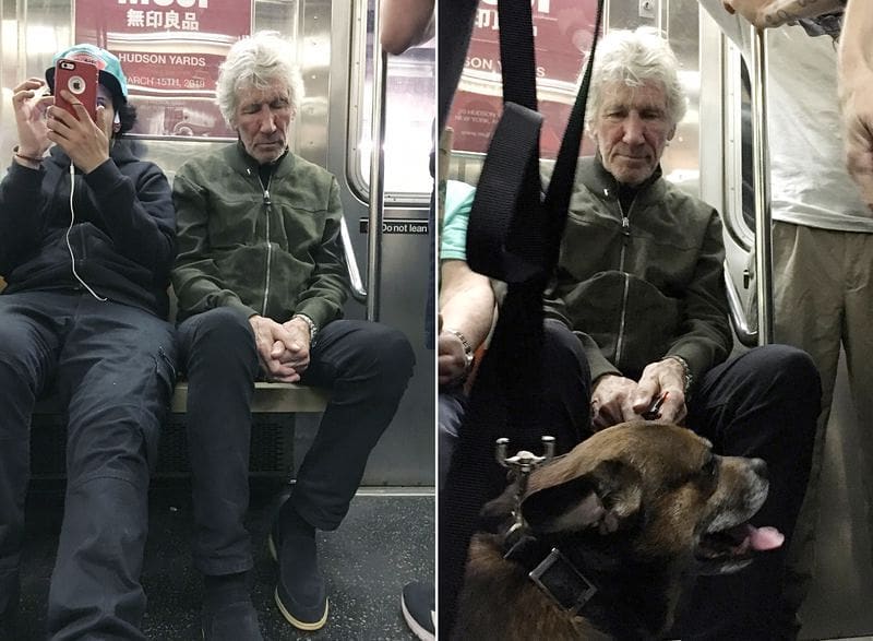 Pink Floyd co-founder Roger Waters riding on NYC Subway.