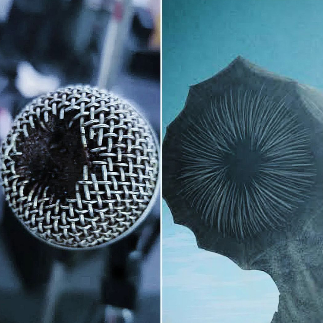 🎤 Soundworm vs. Sandworm

#sound #microphone #mic #sandworm #dune #dunepart2 #filmmaking
