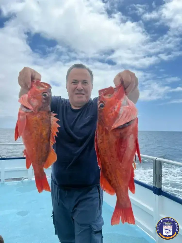 Patriot 3/4 Day Wrap Up Report Wed Apr 24, 2024 976-tuna.com/posts/234766 #patriot #newportlanding #fish #fishing #fishingtrip #oceanfishing #socalfishing #fishingtrip #goodtimes #livebait #saltlife #saltwater #tasty #thetugisthedrug