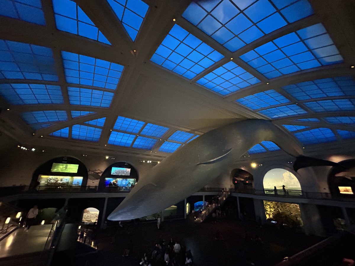 ibhsb's tweet photo. A visit to the Museum of Natural History had something for everyone. https://t.co/QyaBlm8TRU