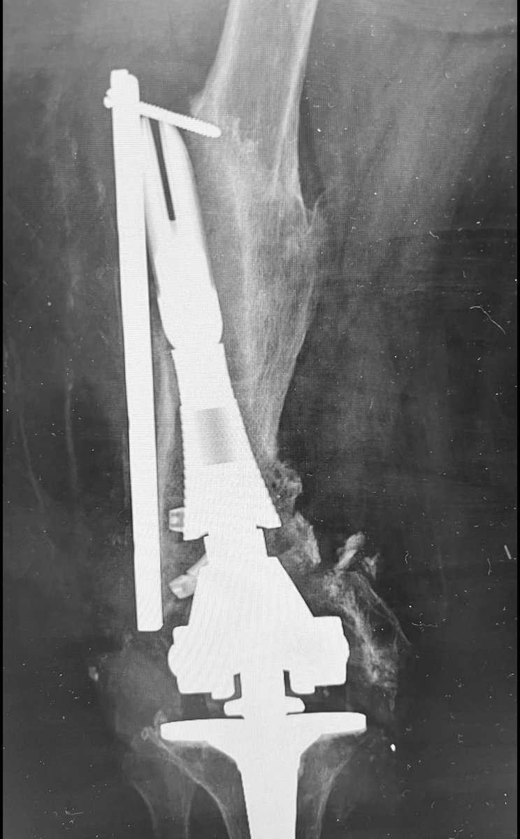 disasterplasty tweet media