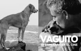 👇🏽Si estás harto de pelas de chismes faránduleros o de fábulas políticas, Vaguito debes ver Además, parte de la taquilla de esa película va para apoyar a la organización de rescate de animales ‘Vaguitos de 4 patas’
Apoyen a la causa...