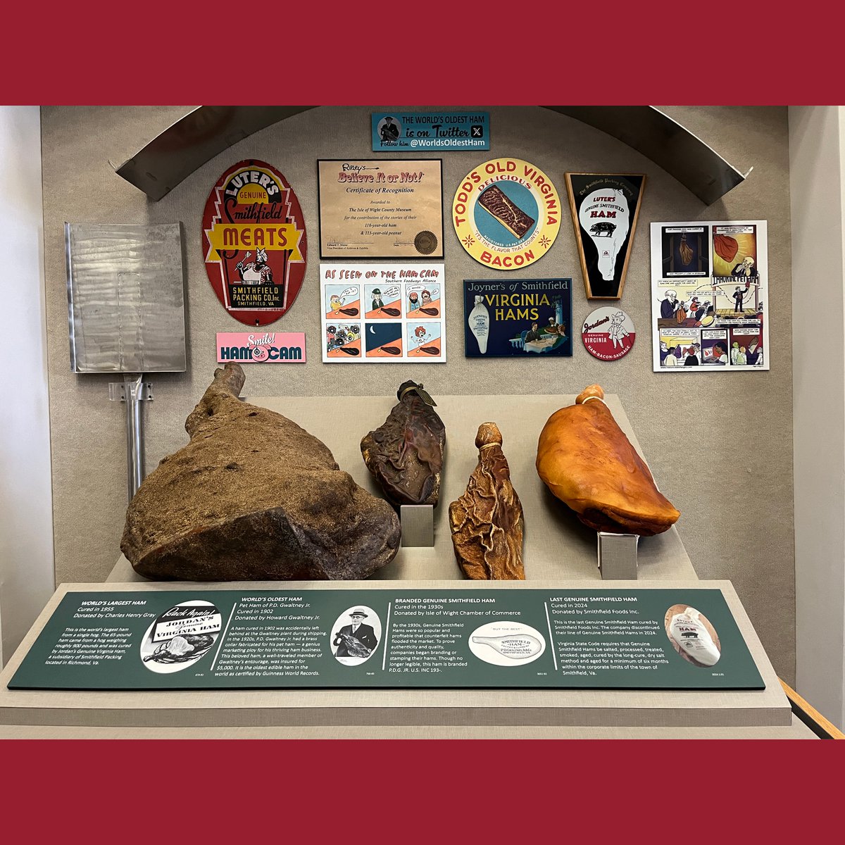 Worldsoldestham's tweet image. The Isle of Wight County Museum...now with 33% more ham!

The Last Genuine Smithfield Ham was moved into the ham case yesterday. We are one big happy ham-ily! #foreverfriends #SmithfieldHam
