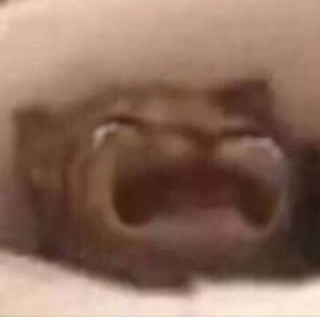 <a href="/GabsMoon_/">Killer Queen</a> Pq desgraç4 eu fui ver Isso