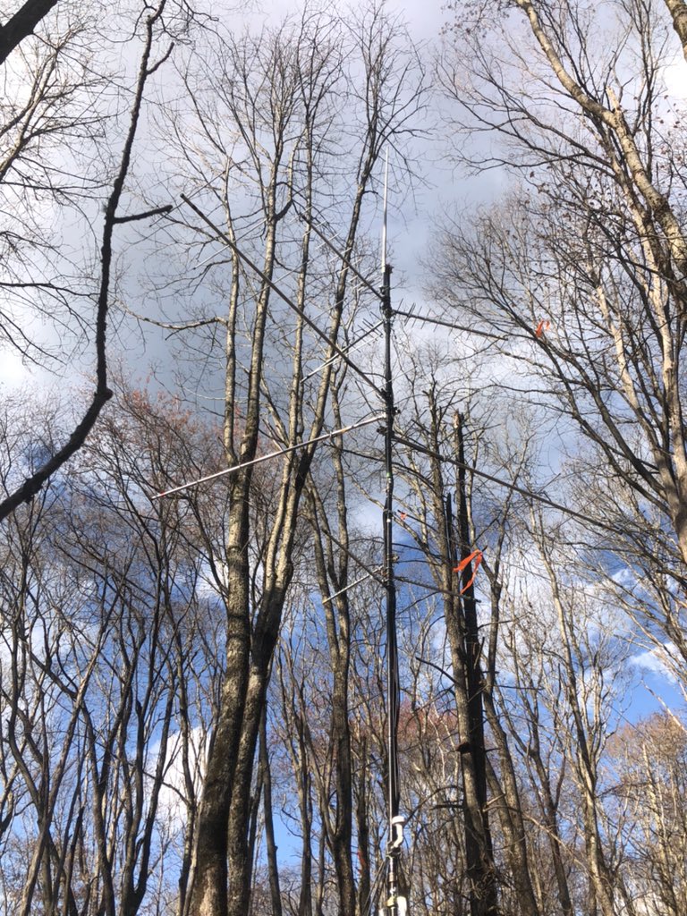Doofgradstudent's tweet image. 12 hours of back-breaking labor but our first iridium #motus tower is up in the woods! Please nobody ever ask me to cart this much equipment a half mile into the forest ever again.