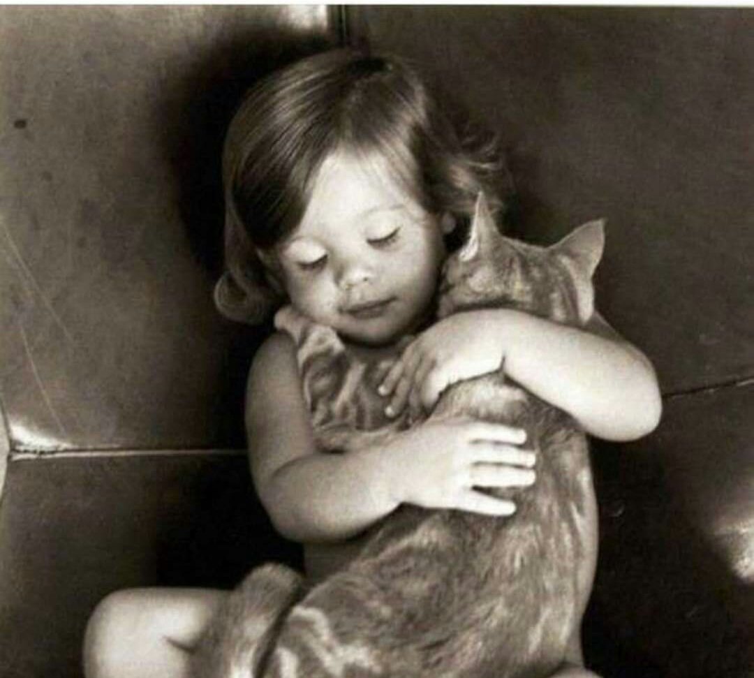 #BirKapSuBirKapMama #Hayvanlaryaşamakistiyor #MamadanKDVKaldırılsın #HayvanHaklarıAnayasaya Sadece biraz Sevgi Çok ama Çokça Sevgi 🧿🐈🐱🕊🐕🐕🐶 🇹🇷 💯