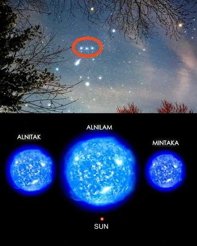 Some perspective. Ever take a look at Orion’s Belt? Alnitak is Spectral Type O91, it’s 1,110 Light years away. Alnilam is B01a that’s 1208.6 Light years away(Blue Hypergiant). Mintaka Spectral type 091, that’s 1,600 Light years away.