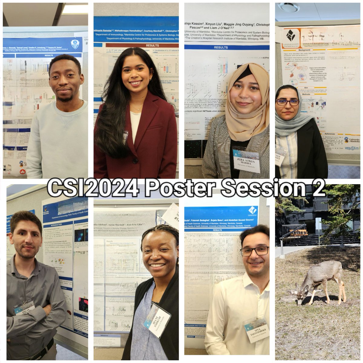 drdeannasanter's tweet photo. And #CSI2024 poster session #2! Another 7 awesome #immunology posters from @um_immu grad students ππ»ππ»
#asthma #LL37 #IFNL #gutbrainaxis #RA #colitis #Bcells https://t.co/hzNK4JCztH