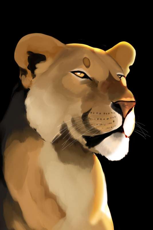LizzytheL's tweet photo. #Lionesses #commissionopen https://t.co/dNgmvae1hU