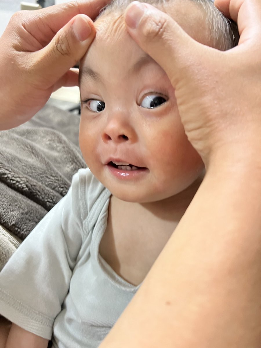 Dadandanzr's tweet photo. このまま育ってほしいな https://t.co/dPvg0GAMuU