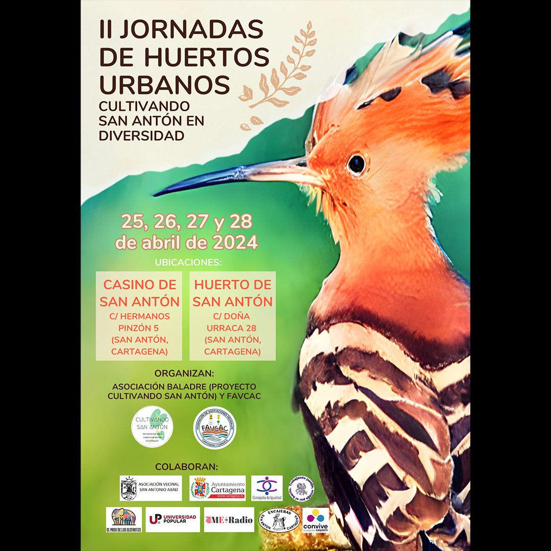 avvpsa's tweet photo. II Jornadas de Huertos Urbanos en San Antón
.
.
.
#poligonosantaanacartagena #construyendobarrio #avvpoligonosantaana #clubmayoresmayorazgo #dinotorresdealtatension #unlocalsocialyaenpoligonosantaana #FAVCAC #asociacionbaladre #sananton https://t.co/HqNCn9dcU7