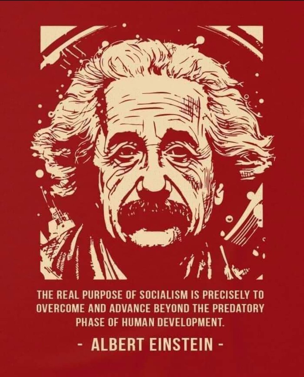 #AlbertEinstein #Socialism