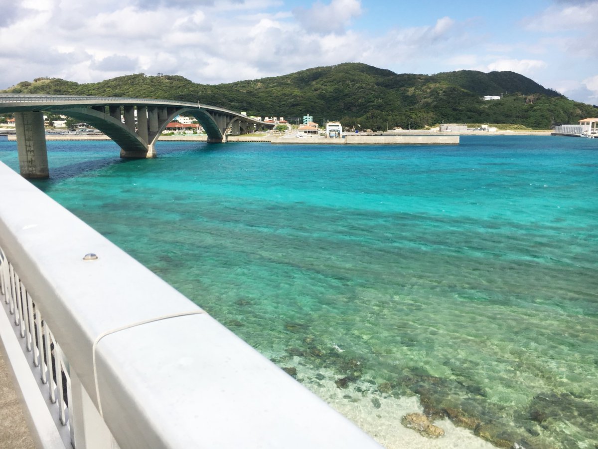 こちらは阿嘉島でした✨

同じケラマ諸島の渡嘉敷島や座間味島よりも穏やかな雰囲気だし、渡嘉敷や座間味にはいない天然記念物のシカがいてとても自然豊か。

近くの島と橋で繋がっていて、橋から海を覗くとウミガメがいることも◎