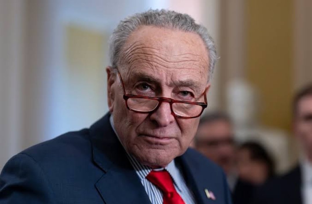 Chuck Schumer thinks MAGA is a cult of white supremacists. Thoughts?