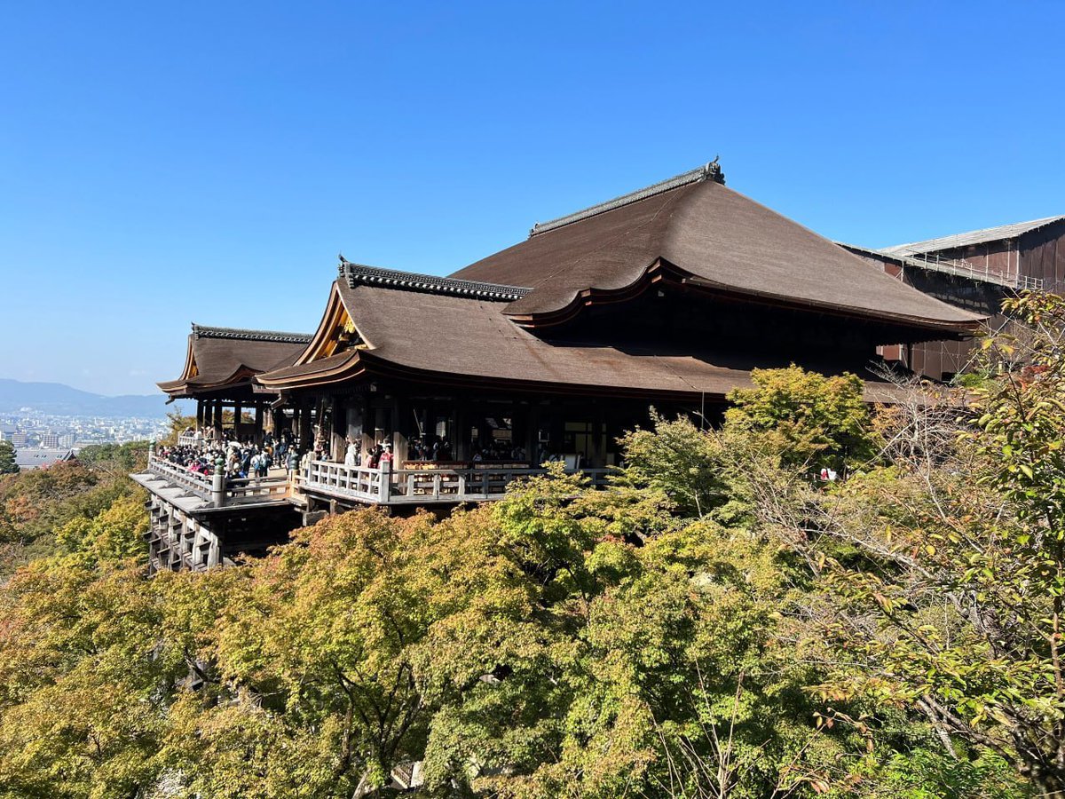 日᠎本ﾠの᠎美ﾠし​さ⳿を発 見す​る᠎こと​は 、ﾞ隅ﾠ々ﾞに᠍隠⬝されたᱸ宝‍石を見つけるようなものです。✨ #Japan #Beauty#