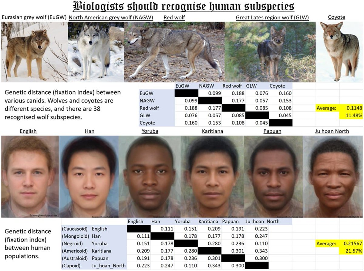 'Biologists should recognize human subspecies'