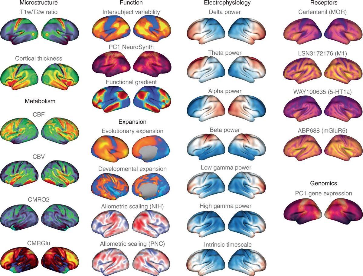 thmonk_pf's tweet image. 【Neuromaps】

脳の構造/機能的annotationへのアクセス/変換/分析の為のPython Toolbox

空間的自己相関map間の統計的比較、ヒト脳の包括的なannotation enrichment解析の為の体系的workflowを提供

OA
👇sourcecode
github.com/netneurolab/ne…
#program 
#annotation
#papers 
doi.org/10.1038/s41592…