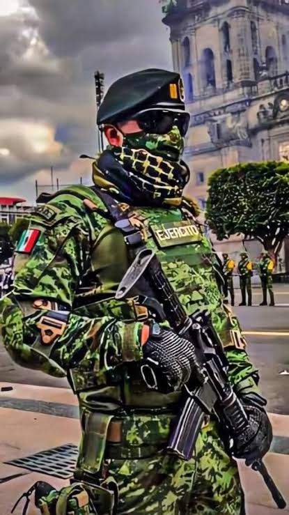 @blogdelnarcomex Arriba el ejército mexicano hdspm