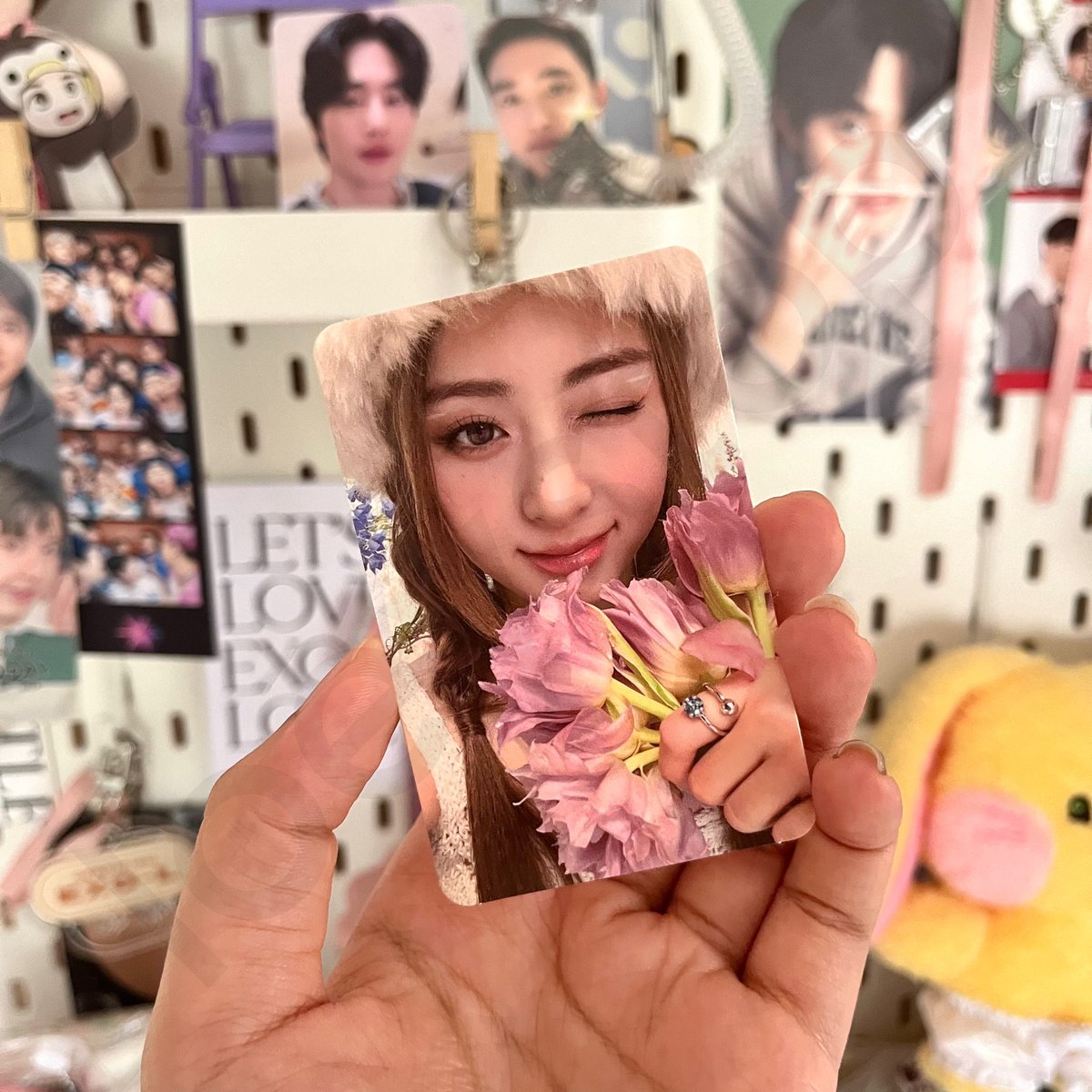loeystop's tweet photo. 🏷️ wts lfb ph le sserafim yunjin chaewon kazuha eunchae sakura

antifragile yunjin tulips photocard with official fearnada group photocard: ₱700

🚚: j&amp;t (direct) 

dm me 💌 https://t.co/lfgSoNcEJc