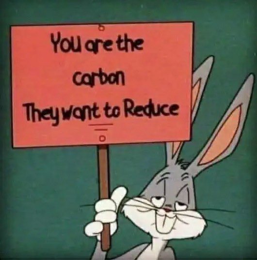 #CarbonCredits #carbontax #CarbonFootprint #Carbon #Carbonagenda #Carbonscam