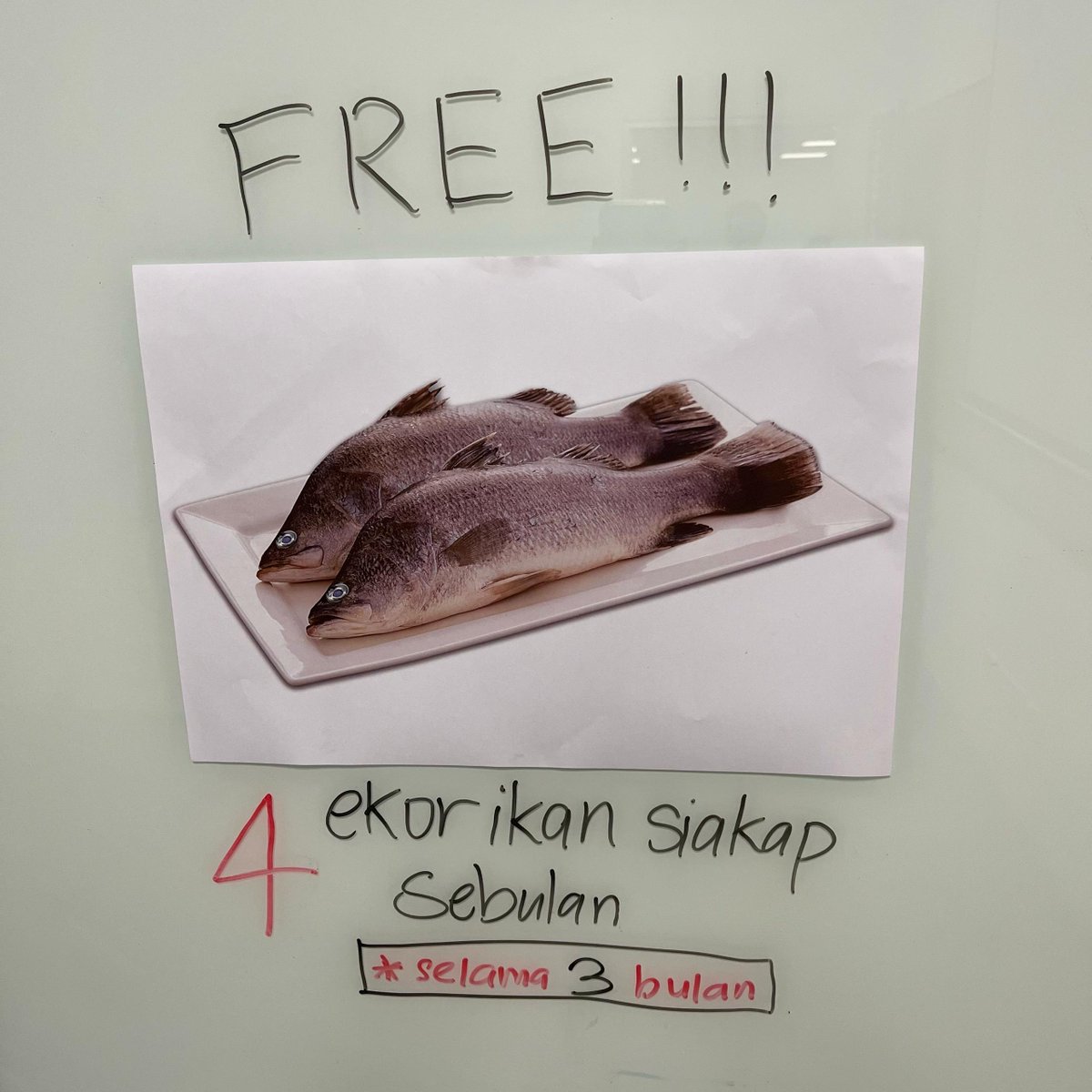 LotussMalaysia's tweet photo. Nak 3 bulan Siakap FREE?👇

1. Follow X @LotussMalaysia
2. Quote RT “Bestnya Lotus’s belanja sebab...” dan #FollowLotuss
3. Tag 3 kawan
4. Pemenang berdasarkan caption paling KREATIF &amp; paling banyak LIKE

Terma syarat https://t.co/1PpEmkAzr5

#LotussMalaysia https://t.co/atrqdiQyco