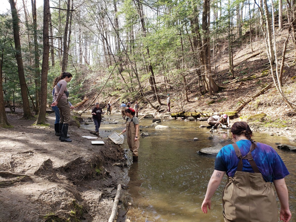 Celebrating this #EarthDay2024 out in nature, looking for stream macroinvertebrates and salamanders with an enthusiastic group of @UVM_RSENR students. @uvmvermont