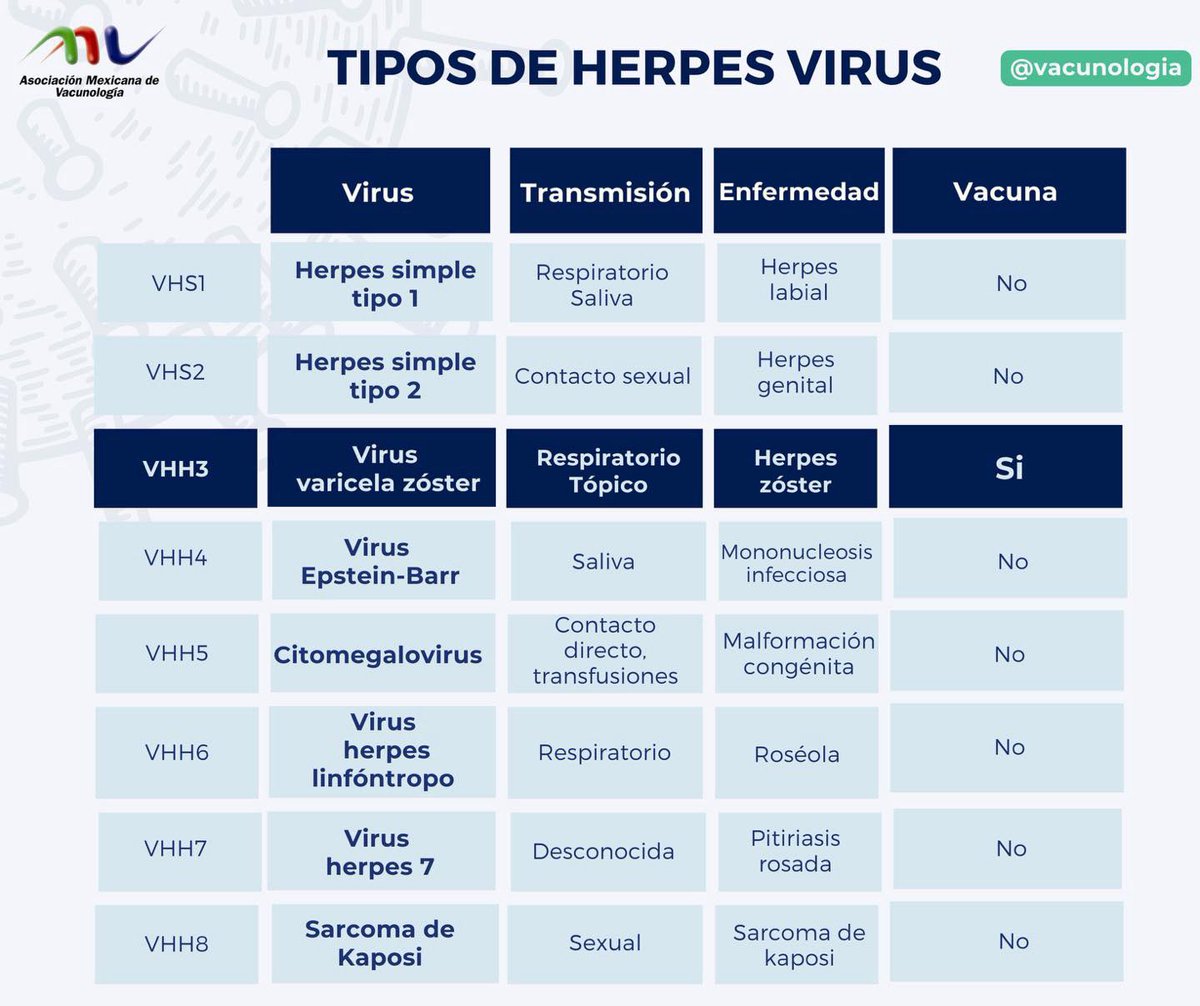 ¿#Conoces los diferentes tipos de #herpes ⁉️ Además del herpes simple tipo 1 y 2, existen otros virus herpes que pueden afectar nuestra salud. Entre ellos se encuentran el virus varicela zóster (responsable de la varicela y el #herpeszoster