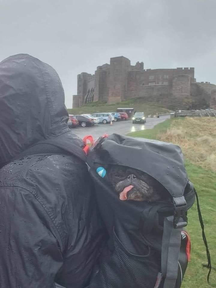 Ruby at Bamburgh Castle!