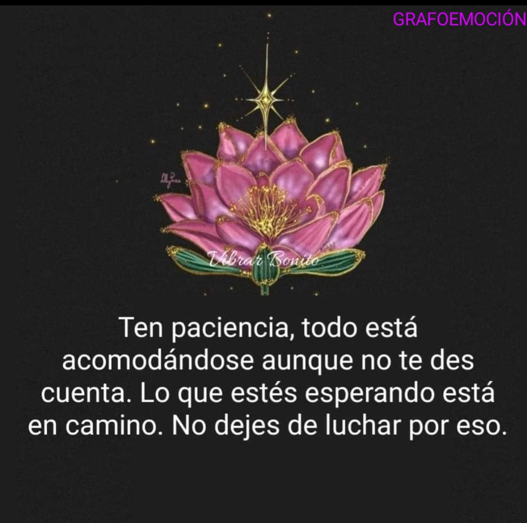 💖Ten paciencia, todo está acomodándose aunque no te des cuenta. 💖

#tutiempo #EnLaVida #emociones #actitudpositiva #sentidodavida #Sentimientos #DesarrolloHumano  #GrafoEmocion #estulucha #brillas 

📸 Créditos de la imagen. Desconocida. Tomada de la web.