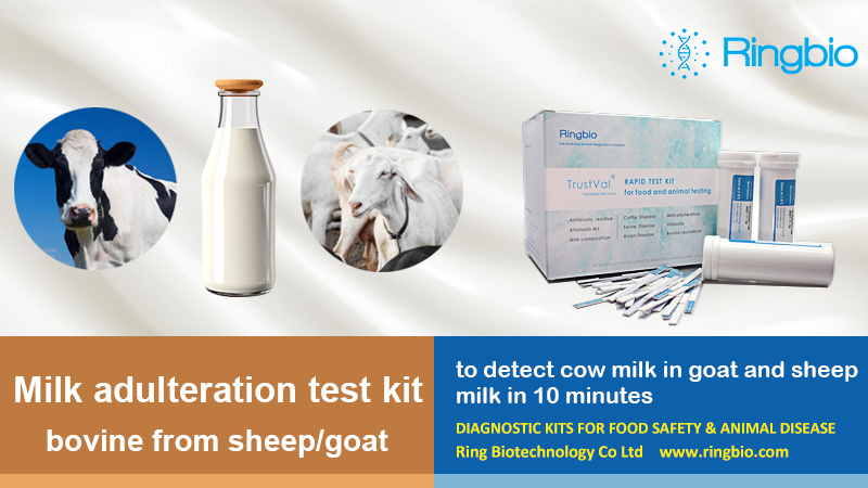 #Ringbio's cow milk #testkit is to detect #cowmilk in #goat and #sheepmilk, which can be used in the detection of #milkfraud. Detection takes less than 10 minutes, which is really rapid, #sensitive and #accurate.
 
Click here, lnkd.in/g84WGE3P

#rapidtest #milktest
