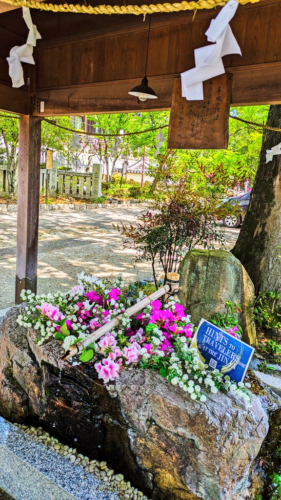 花手水も美しいです✨✨

#阿智神社
@倉敷･美観地区 2024.4.25